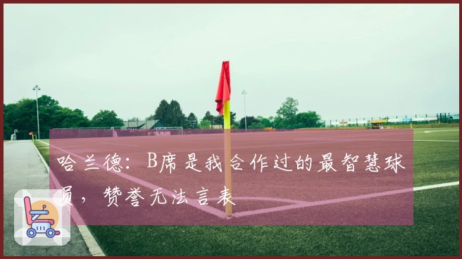 哈兰德：B席是我合作过的最智慧球员，赞誉无法言表