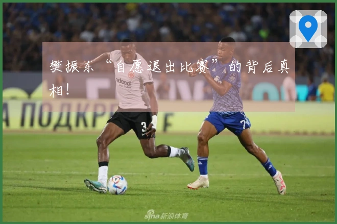 樊振东“自愿退出比赛”的背后真相！