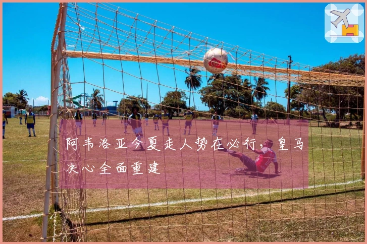 阿韦洛亚今夏走人势在必行，皇马决心全面重建