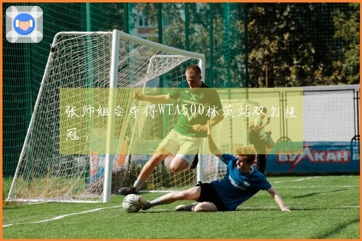 张帅组合夺得WTA500林茨站双打桂冠